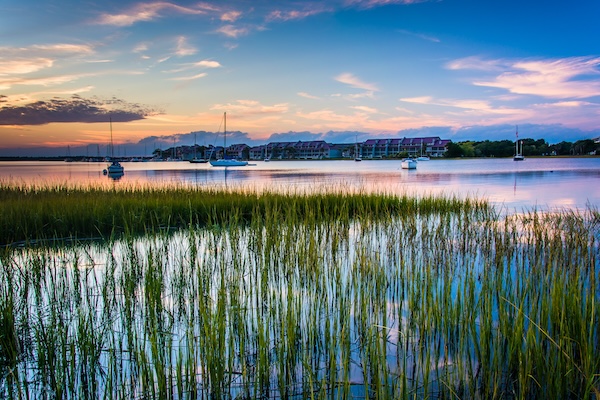 Fence Company in Ladson SC