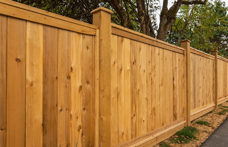 Wood Fence Staining